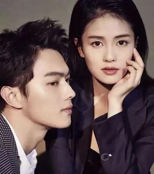 白鹿八卦爆料大全最新